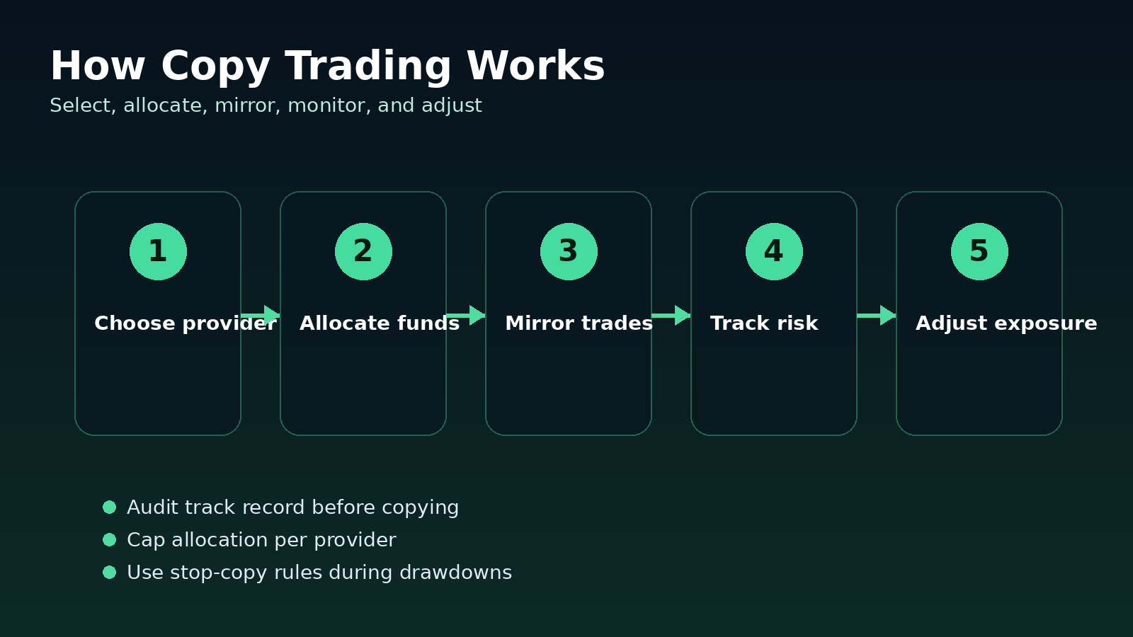 Step by step copy trading flow from provider selection to risk monitoring